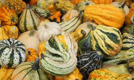 real pumpkins to decorate your home during the halloween party