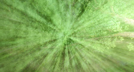 Abstract green background of leaves blowing in the wind intentionally out of focusの写真素材