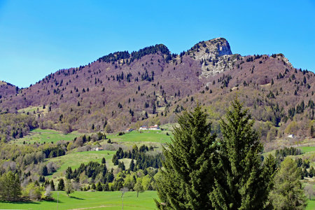 green mountains with Mount Spitz in the municipality of Tonezza del Cimone in the Province of...