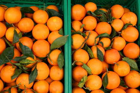 many basket of oranges with natural treatments without chemical additives for sale in the marketの写真素材