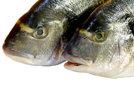 two huge freshly caught sea bream ready to be cooked at the restaurant