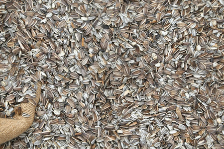 dried sunflower seeds for sale to the cereals and grain market