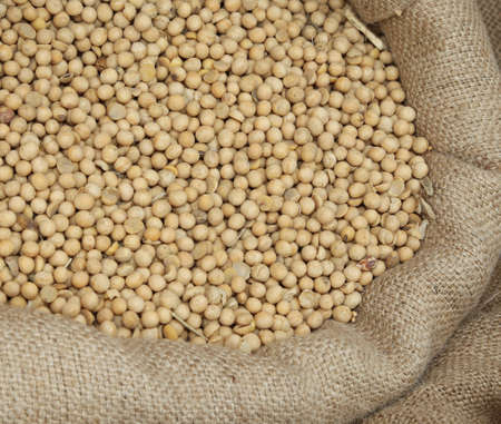 bag of seeds of ripe soybeans for sale at the market of cerealsの写真素材