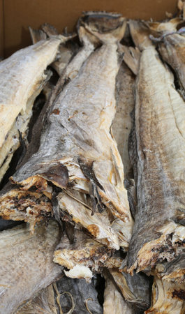 Stockfish from cod for sale in italian market in Venice