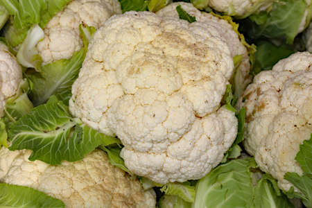 organic white cauliflower on sale in the grocery stall in winterの写真素材