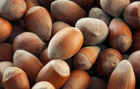 background  of many of brown hazelnuts photographed by macro lensの写真素材