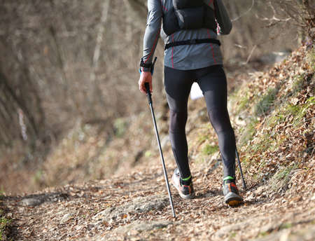 Man during the orientation race in the mountain trail with nordic walking poles and sporty clothesの写真素材