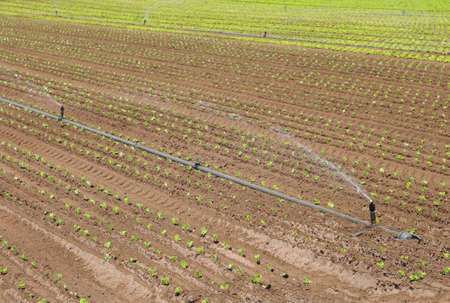 Automatic irrigation system to water the fields during summer droughtの写真素材