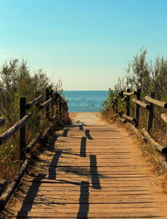 gangway in the middle of nature leading to the sea in summerの写真素材