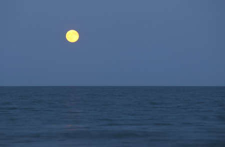 big full moon over the ocean in the nightの写真素材