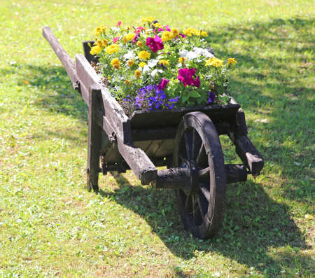 wheelbarrow with many flowers in the garden of the home in springの写真素材
