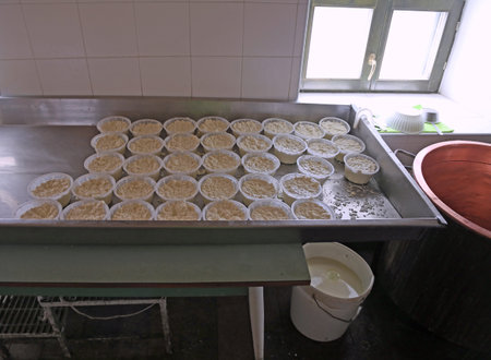 many forms of fresh ricotta cheese in the dairy in a mountain hut