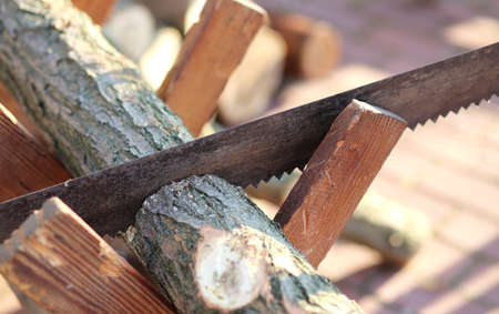 woodcutter saw cut trunk to use it as firewood in winterの写真素材