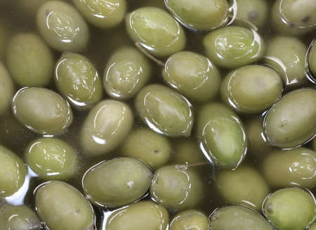 green background of ripe mediterranean olivesの写真素材
