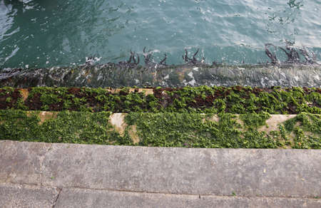 Many step during the low tide in Veniceの写真素材