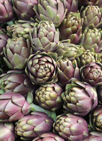 background of many ripe artichokes for saleの写真素材