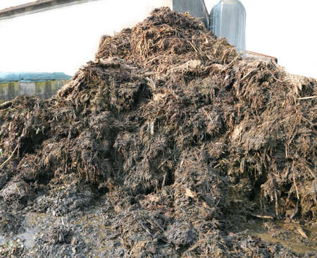 big heap of smelly manure to spread on the field to make it very fertileの写真素材