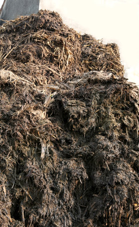 huge heap of smelly manure to spread on the field to make it very fertileの写真素材