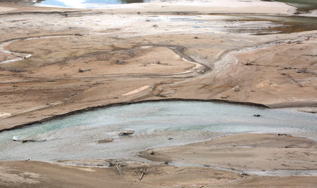swamp with few water and many quicksand