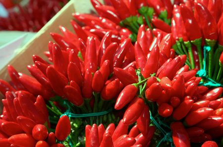 bunches of hot Mexican chilli peppers in a wooden box