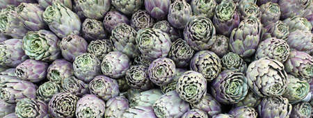 background of many ripe green artichokesの写真素材