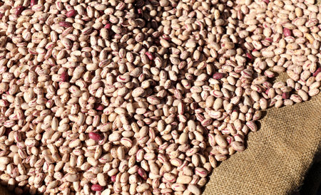 background of many beans on the jute fabric