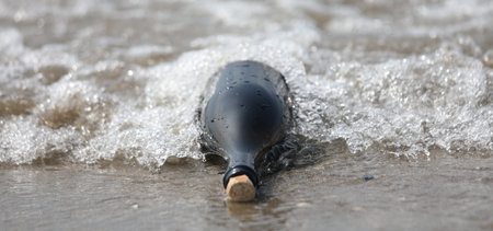 One bottle with a mesasnge on the beach