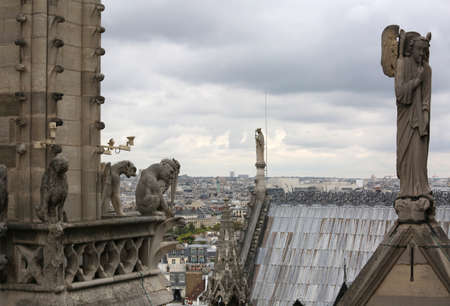 rooftop of Cathedral of Notre Dame in Paris France before the Fire and many statuesの素材 [FY310132230363]