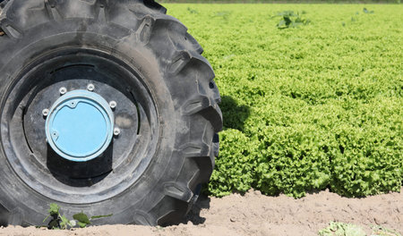 big black tire of a tractor on cultivated field