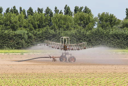 irrigation system on the cultivated field in summer