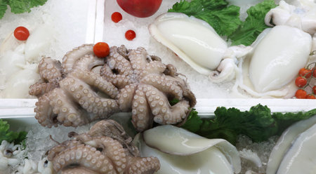 freshly caught octopus and cuttlefish for sale in the fishmongers shop