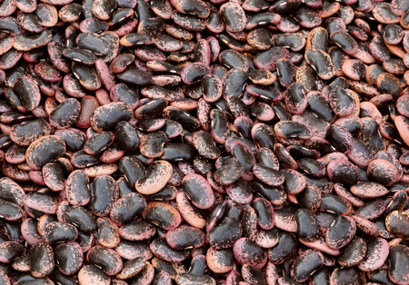 dried beans of a species called in Italy Pope beans or Fagioli del Papa in Italian language