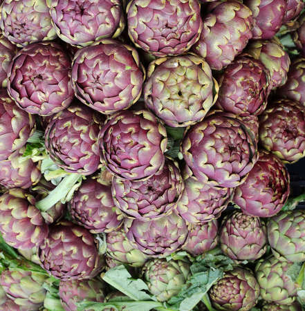 background of greens very big green artichokes for sale in the vegetable market in winterの写真素材