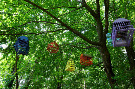 colored cages for birds in the forest