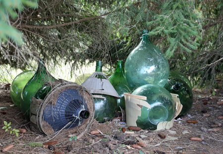 many old green glass demijohns abandoned in the middle of the woods