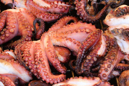 background cooked grilled octopus in the restaurant specializing in seafoodの写真素材