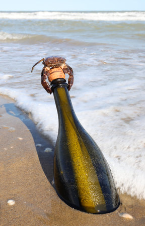 crab over the bottle cap beached by the sea with a secret message insideの写真素材
