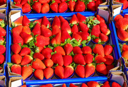 many baskets of ripe red strawberries for sale in the fruit and vegetable marketの写真素材