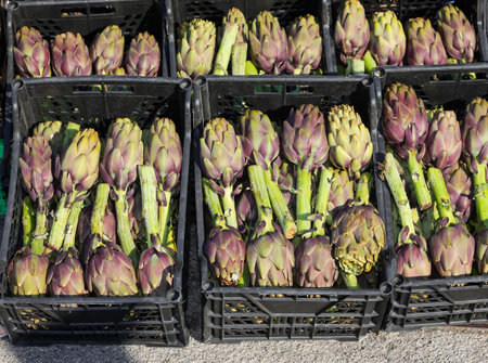 many big green artichokes for sale in the open air vegetable marketの写真素材