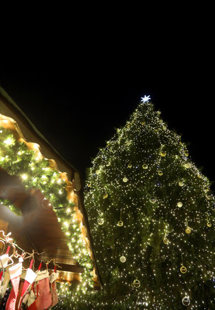 Christmas Tree and stands of alfresco market by nightの写真素材