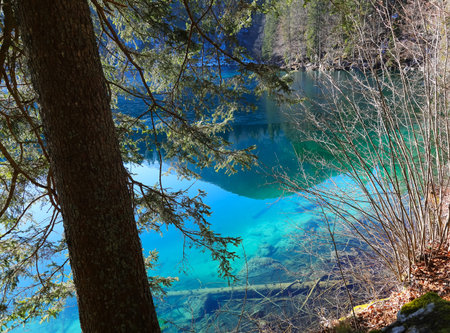 Very transparent water of the alpine lake and you can even see the trees underneath how clean and...