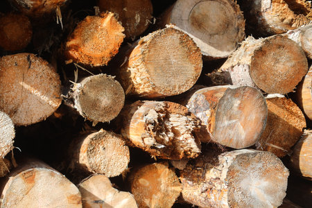 background of cut logs stacked ready to be sawn and processed in industrial sawmill