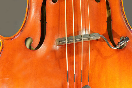 detail of the sound box with holes and the four strings of a bowed instrument made of very precious...