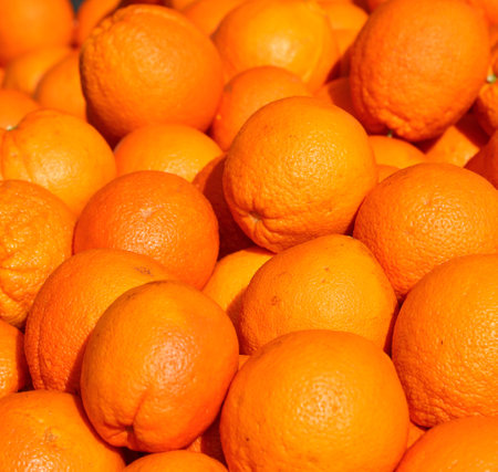 background of many juicy oranges freshly picked in the orange grove of the Mediterranean countryの写真素材