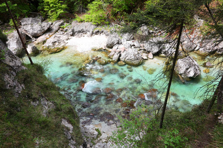 enchanting view from above of the mountain stream that flows between the rocks and plants in springの写真素材