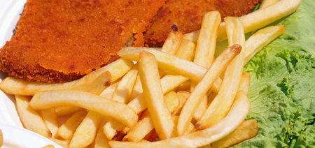 dish detail with crispy yellow fries and breaded cutletsの写真素材