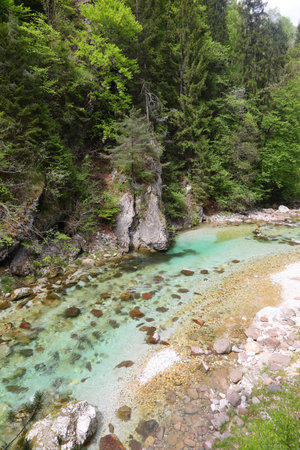 view from the top of the stream with clear mountain water in the middle of the valley with the green vegetationの写真素材