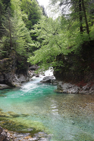 stream with clear water flowing into the mountain valley in springの写真素材