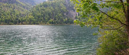 natural panorama with a lake among the forests in the mountains in summerの写真素材