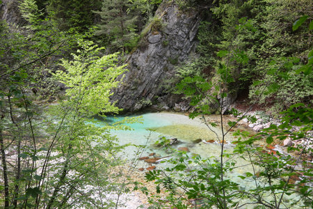 view from the top of the mountain stream in the middle of the valley with the green vegetationの写真素材